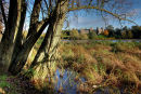 Framlingham, Suffolk