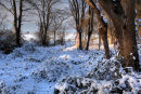 Herringfleet, Suffolk