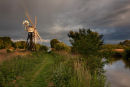 Turf Fen, Norfolk