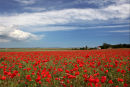 Bradwell, Norfolk