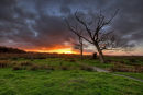 Carlton Marshes, Suffolk