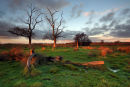Carlton Marshes, Suffolk