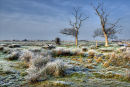 Carlton Marshes, Suffolk