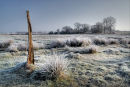 Carlton Marshes, Suffolk