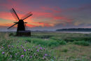 Herringfleet Mill, Suffolk