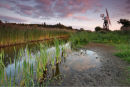 Boardmans Mill, Norfolk