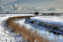 Halvergate Marshes, Norfolk