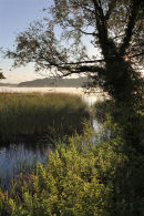 Filby, Norfolk