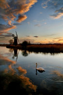 Turf Fen, Norfolk