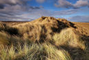 Winterton Dunes, Norfolk