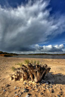 Benacre, Suffolk