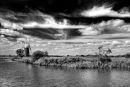 Turf Fen, Norfolk