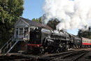 Black Prince