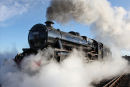 Castle Class Steam Locomotive