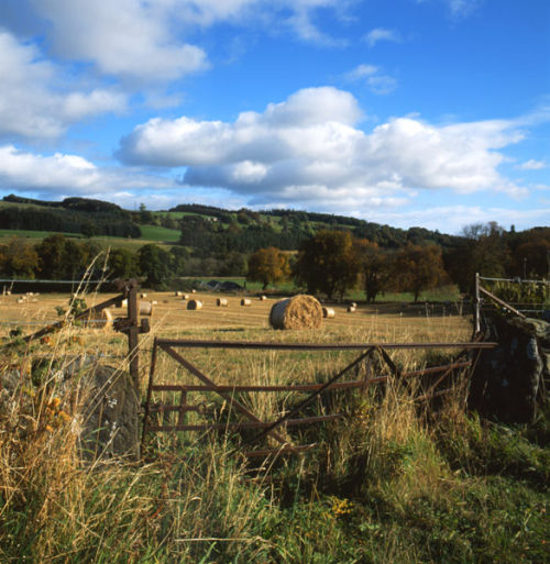 Perthshire-Milton-of-Clunie
