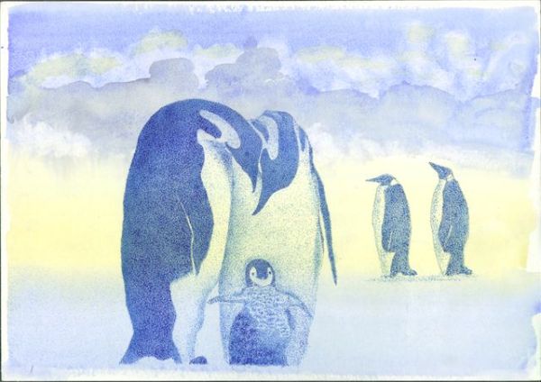 New Penguin Family