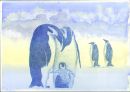 New Penguin Family