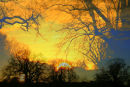 SUNSETS