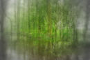 MIST