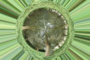 WOODLAND CIRCLE