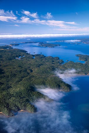Patterson Inlet, Stewart Island / Rakiura, near the South Island, New Zealand - aerial 