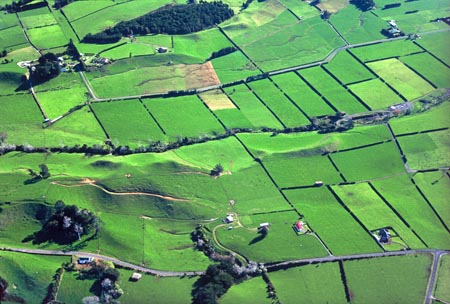 Dairy Farms, Taranaki, North Island, New Zealand - aerial 