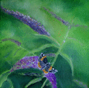 Red Admiral butterfly (SOLD)
