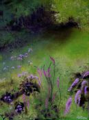 Railway Land Flowers