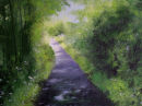 SHADY PATH (sold)