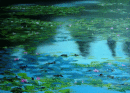 Waterlilies