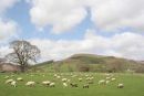 Cil y Cwm
