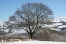 Winter, Trecastle