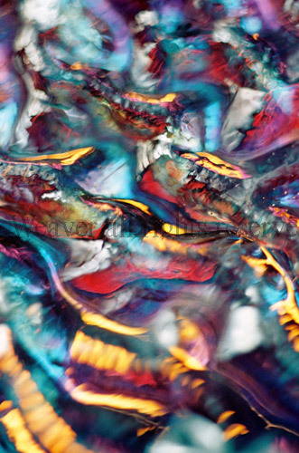 Carnival