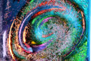 Cosmos