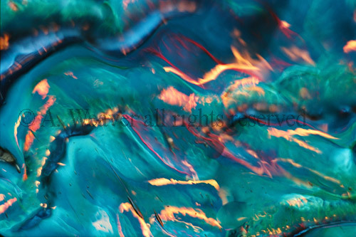 Wave