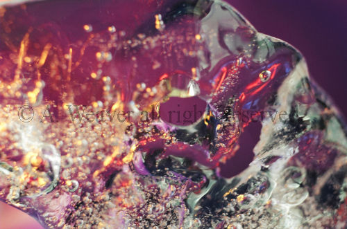 Sea_Jewel