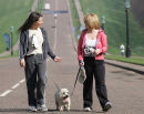 Strolling