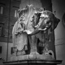 The Elephant