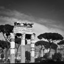 Columns