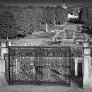 The park