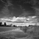 Field at Glomma