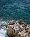 Nice - Fisherman