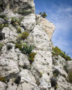 Nice - White Cliff
