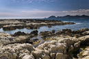 Cliffs of Saint-Honorat