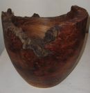 burr elm
