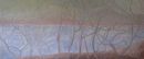 Silver birch