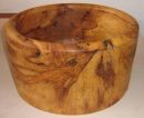 spalted sycamore upright