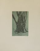 Tree/ Træ. Anno 2005. Hard ground and etching.Size 24x34 cm. 
Prize; Dkr.1500,;£164,-Euro 200,-