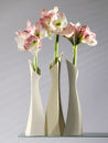 Birdie Vase