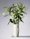 Silhouette Vase
